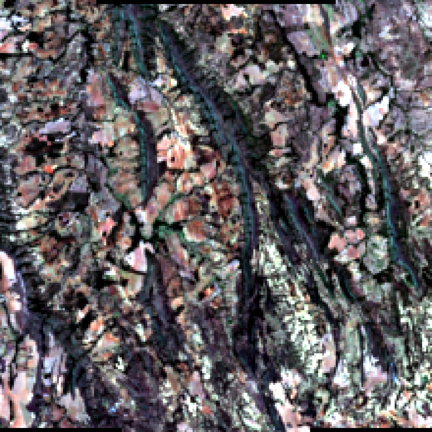 Imagem reconstruída da amostra geoespacial